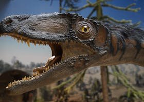 Close-up of a dinosaur replica head on display in a museum exhibit.
